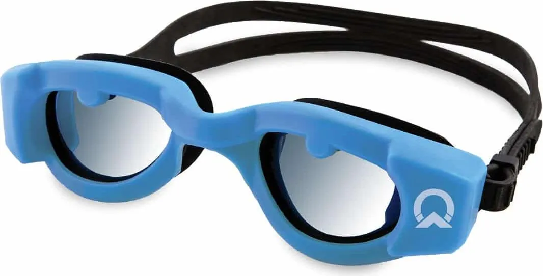 OnCourse Goggles